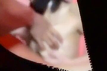 (230522)ãƒ”ãƒ³ã‚µãƒ­å‡ºã‹ã‘ã¦ã‚¨ãƒƒãƒã—ãŸ(324)