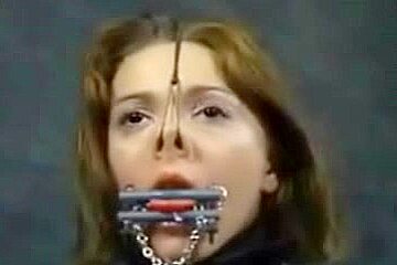 Insex Blind