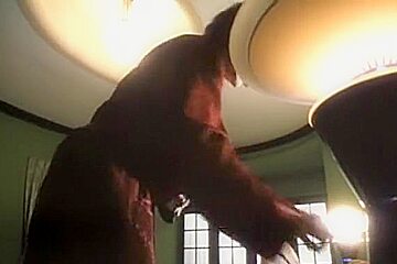 Wild Side ((1995))   Anne Heche And Joan Chen