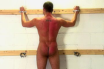 Rex Three Days Of Pain (4)