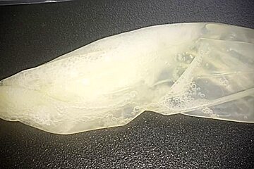 Condom Full