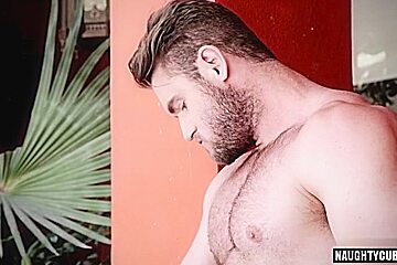 Hairy Gay Threesome And Cumshot