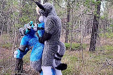 Horny Furries Fuck In The Wild