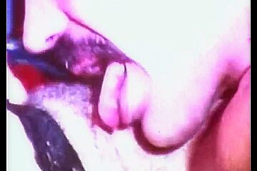 Anal Housewives (2)