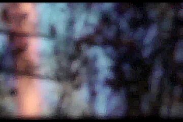 Woods (33)