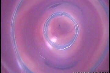 Himena Ebihara Has Her Sweet Pussy Massaged And Shaved