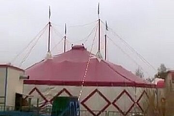 Circus Sex