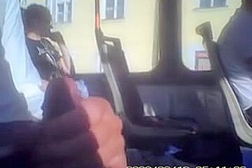 Lewd Man Wants Sweet Bus Passenger See His Hard Dick