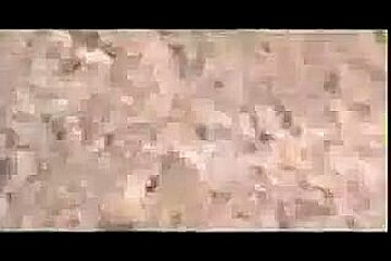 Bangladeshi Pat Khat